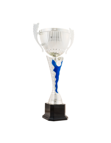 26-1608 Copa económica