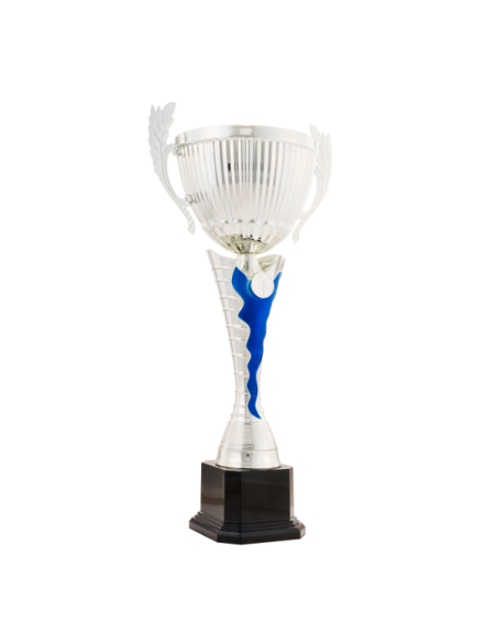 26-1608 Copa económica