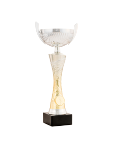 26-1609 Copa económica