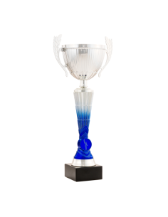 26-1611 Copa económica