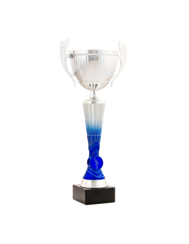 26-1611 Copa económica