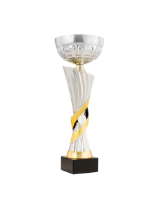 26-1619 Copa económica