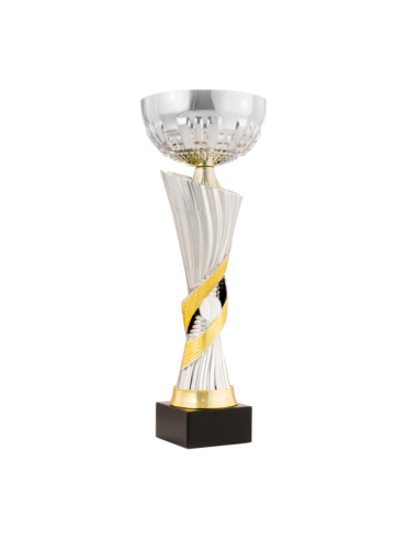 26-1619 Copa económica