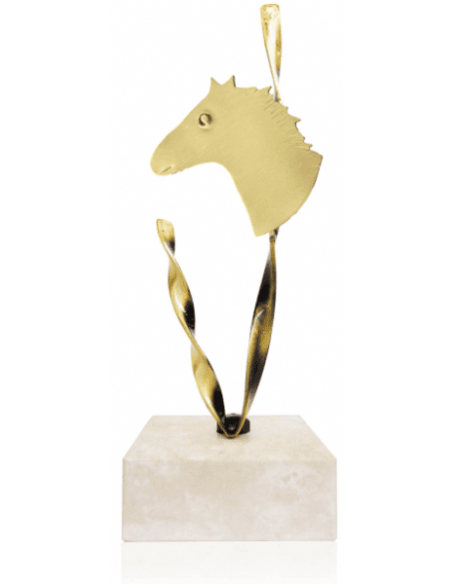Trofeo De Hipica