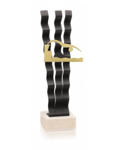 Trofeo De Natacion