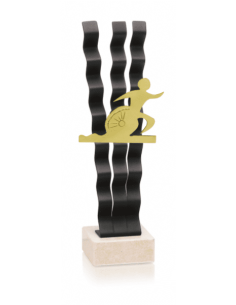 Trofeo De Triatlon