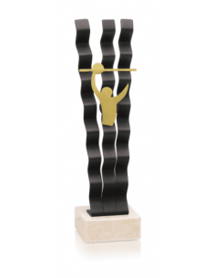 Trofeo De Voleybol