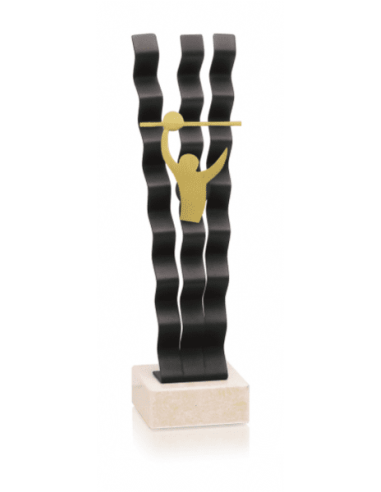 Trofeo De Voleybol