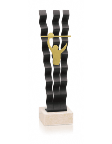 Trofeo De Voleybol