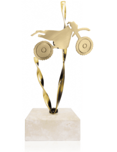 Trofeo De Motocross