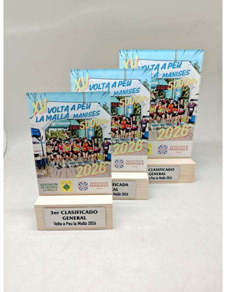 Trofeos de Metacrilato con Peana de Madera Personalizados