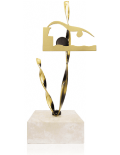 Trofeo De Natacion