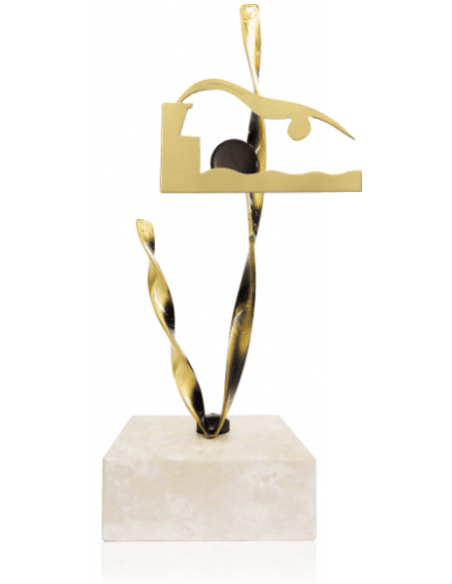 Trofeo De Natacion