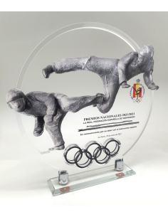 TMT-Trofeo de diseño personalizado