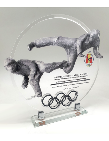 TMT-Trofeo de diseño personalizado