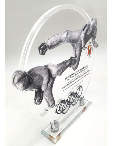 Trofeos de diseño en Valencia