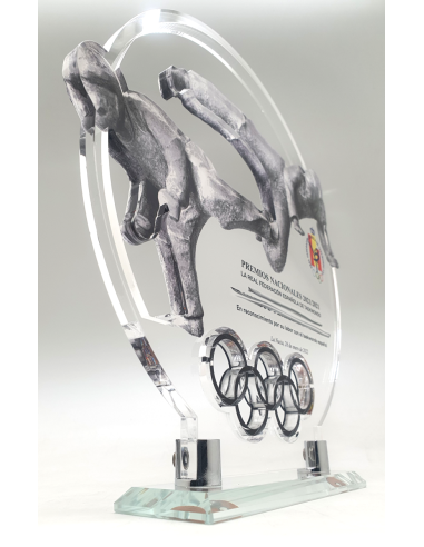 Trofeos de diseño en Valencia