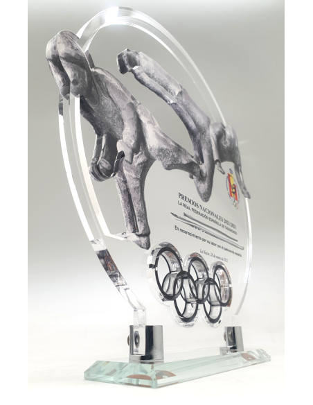 Trofeos de diseño en Valencia