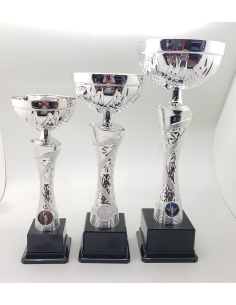 Trofeos economicos con grabado en Valencia
