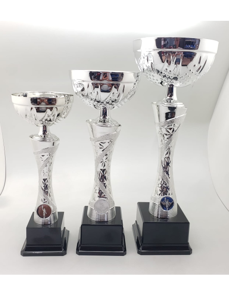 Trofeos economicos con grabado en Valencia