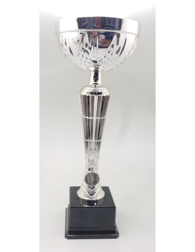 Trofeos economicos con grabado en Valencia