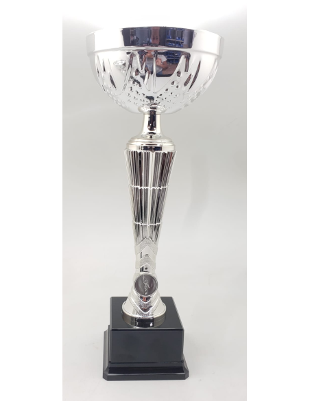 Trofeos economicos con grabado en Valencia