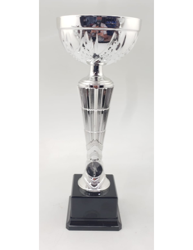 Trofeos economicos con grabado en Valencia