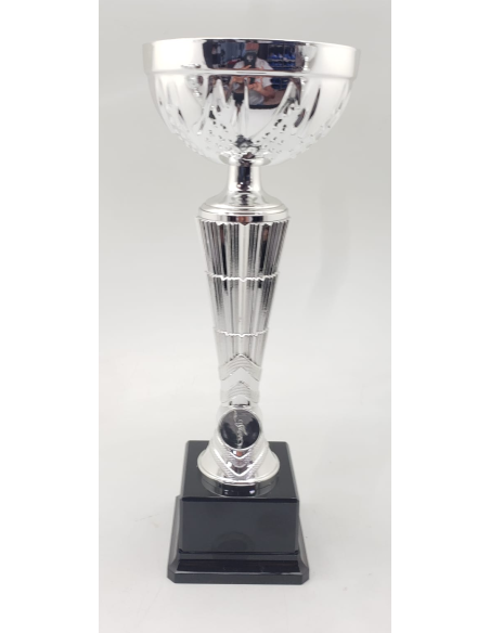 Trofeos economicos con grabado en Valencia