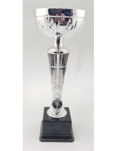 Trofeos economicos con grabado en Valencia