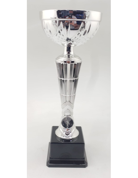 Trofeos economicos con grabado en Valencia