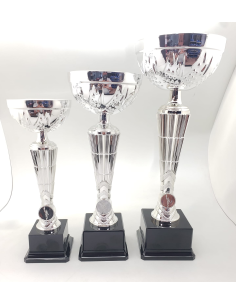 Trofeos economicos en color plata en Valencia