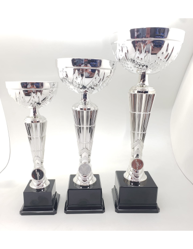 Trofeos economicos en color plata en Valencia