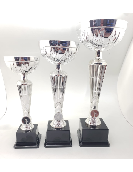 Trofeos economicos en color plata en Valencia