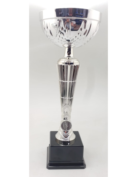 Trofeos economicos en color plata en Valencia