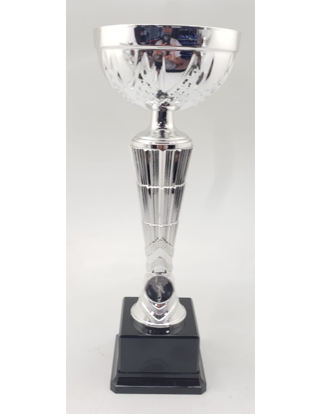 Trofeos economicos en color plata en Valencia