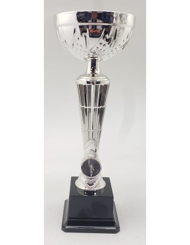 Trofeos economicos en color plata en Valencia