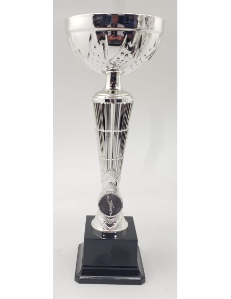 Trofeos economicos en color plata en Valencia