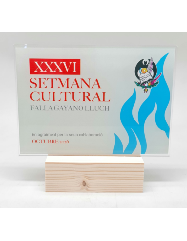 Trofeos economios de diseño personalizado en Valencia