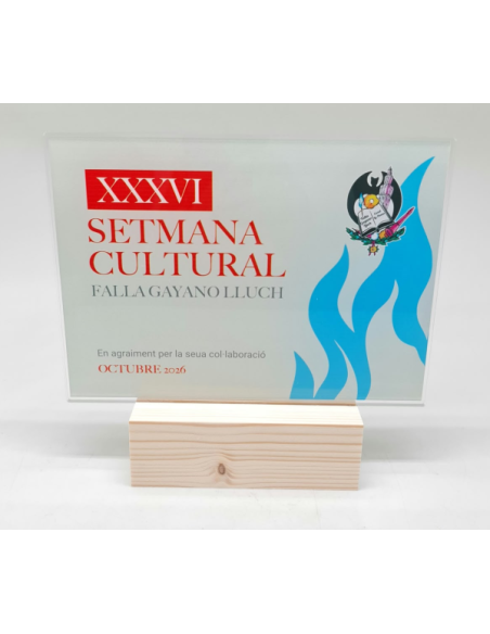 Trofeos economios de diseño personalizado en Valencia