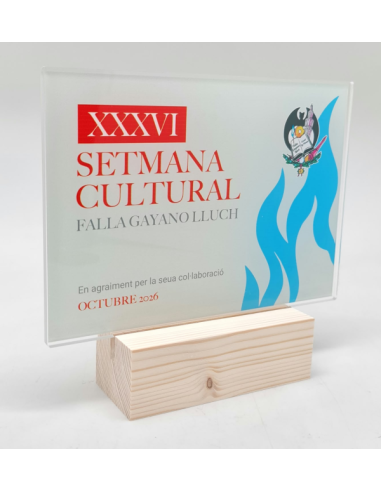 Trofeos economios de diseño personalizado en Valencia
