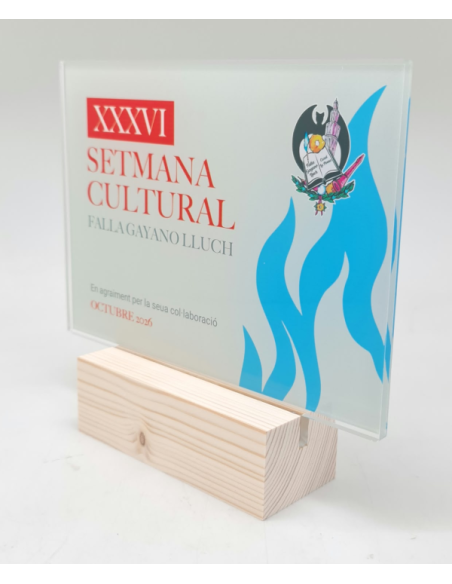 Trofeos economios de diseño personalizado en Valencia