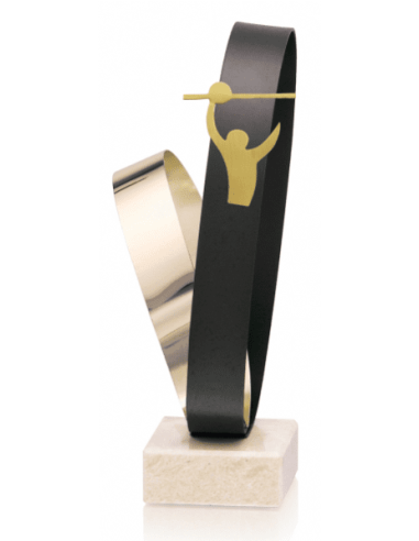 Trofeo De Voleybol