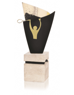Trofeo De Badminton