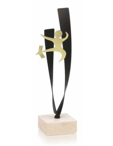 Trofeo De Karate
