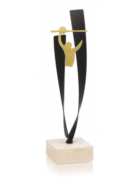 Trofeo De Voleybol