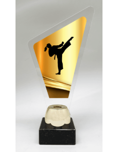 Trapecio Metacrilato Karate O Taekwondo Femenino