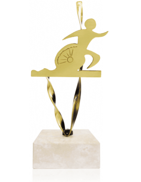 Trofeo De Triatlon