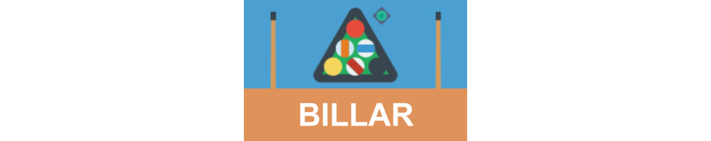 Trofeos de Billar | Premios para Jugadores y Torneos