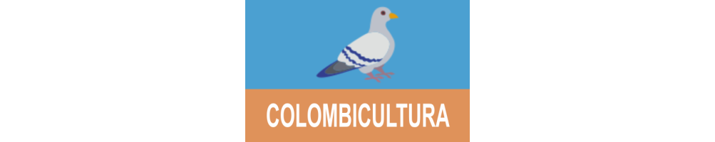 Trofeos de Colombicultura | Reconocimiento a Criadores