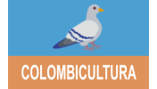 Colombicultura